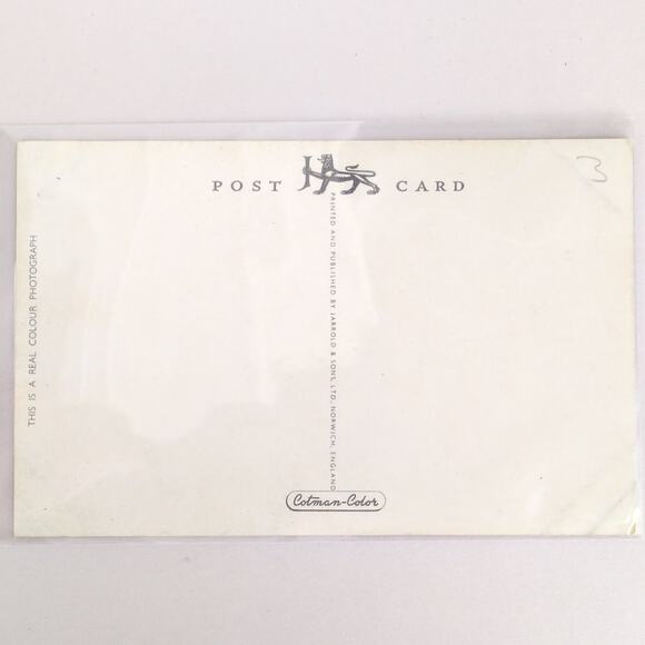 Vintage 1950s Postcard The Lakes Cockington Torquay Devon England UK Jarrold - Picture 2 of 2